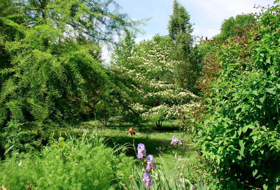 Arboretum du Tuffeau